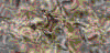 TXTR3730.GIF