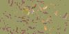 TXTR3725.GIF