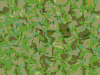 TXTR3721.GIF
