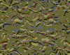 TXTR3692.GIF