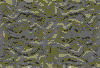TXTR3669.GIF