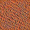 TXTR3558.GIF