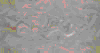 TXTR3553.GIF