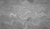 TXTR3552.GIF