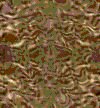 TXTR3551.GIF