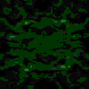 TXTR3518.GIF