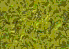 TXTR3325.GIF