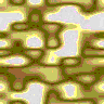 TXTR3205.GIF