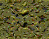 TXTR3065.GIF