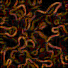 TXTR2959.GIF