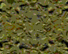 TXTR2811.GIF