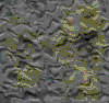 TXTR2708.GIF