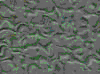 TXTR2702.GIF