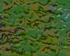 TXTR2696.GIF