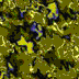 TXTR2692.GIF