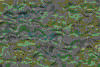 TXTR2685.GIF