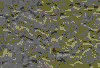 TXTR2676.GIF