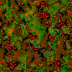TXTR2624.GIF