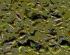 TXTR2606.GIF