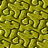 TXTR2378.GIF