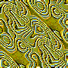 TXTR2359.GIF