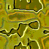 TXTR2341.GIF