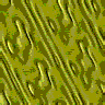 TXTR2340.GIF