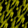 TXTR1953.GIF