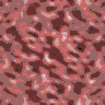TXTR1630.GIF