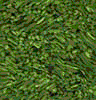 TXTR1358.GIF