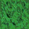 TXTR1355.GIF