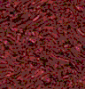 TXTR1311.GIF