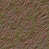 TXTR1304.GIF