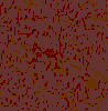 TXTR1209.GIF