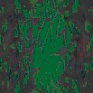 TXTR0703.GIF