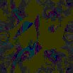 TXTR0675.GIF