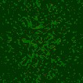 TXTR0294.GIF