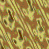 TXTR0262.GIF