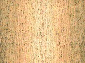 TXK.GIF