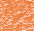 TXBCK77.GIF
