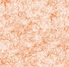 TXBCK35.GIF
