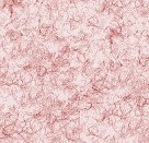 TXBCK33.GIF