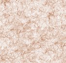 TXBCK31.GIF