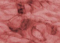 NEWBAC10.GIF