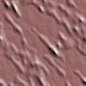 NBCK024.GIF