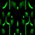 TXTR3415.GIF