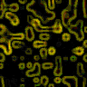 TXTR2998.GIF