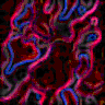 TXTR2976.GIF