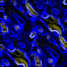 TXTR2960.GIF
