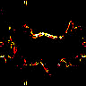 TXTR1702.GIF